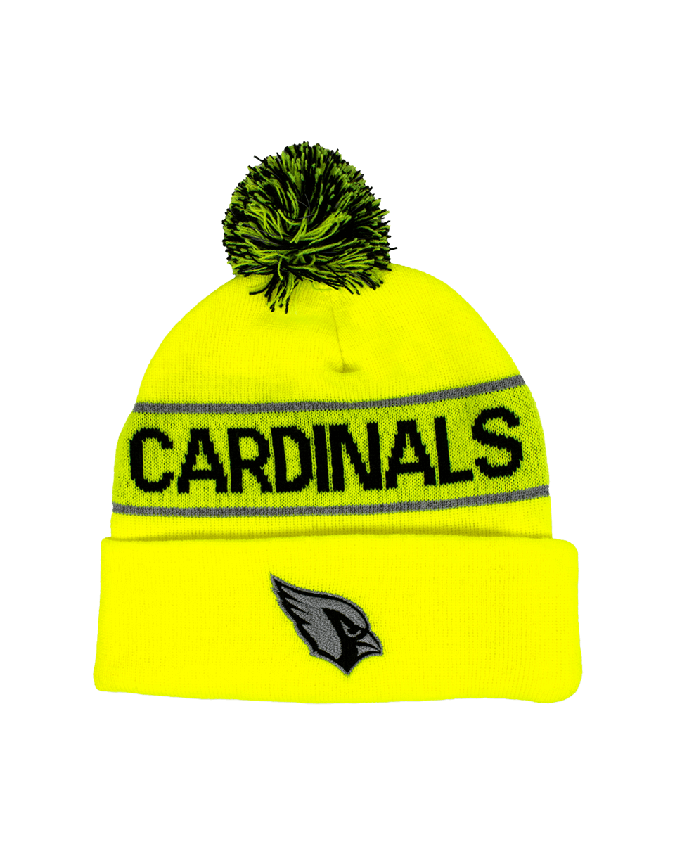 NFL Knit Pom Hat