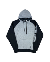 Raglan Hooded Sweatshirt with Sleeve Logo