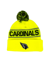 NFL Knit Pom Hat