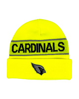 NFL Knit Hat