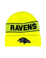 NFL Knit Hat