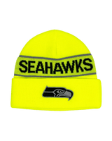 NFL Knit Hat