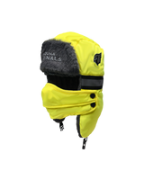NFL Aviator Hat