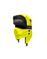 NFL Aviator Hat