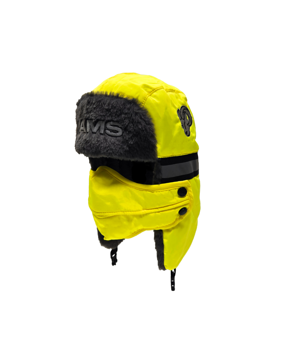 NFL Aviator Hat