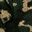 Green Camo
