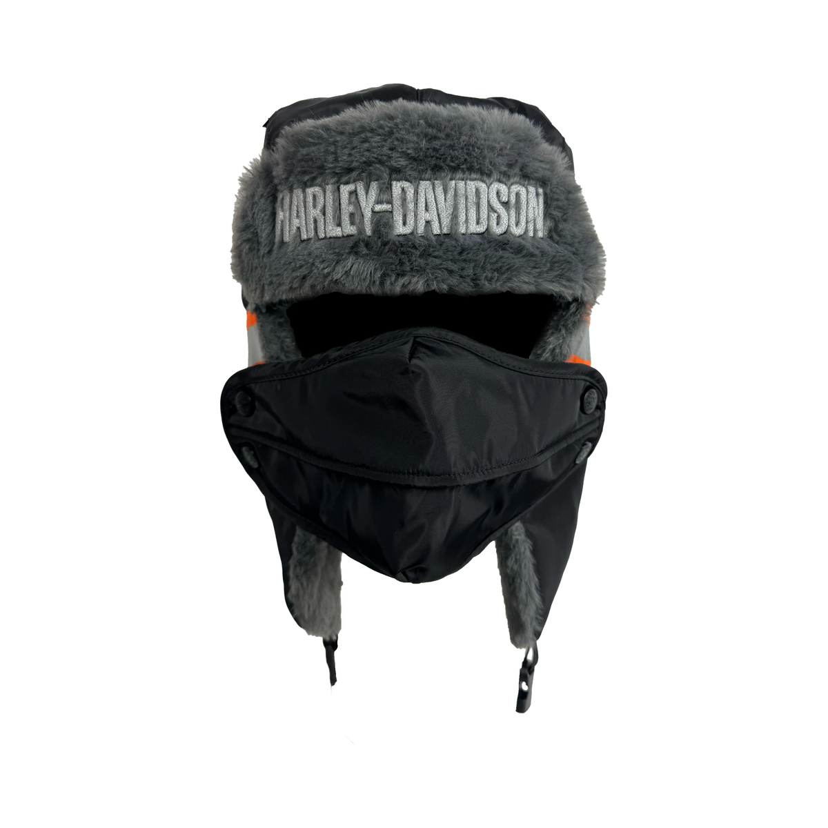 Harley-Davidson Aviator - Front