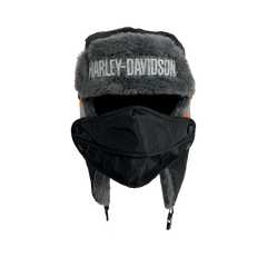 Harley-Davidson Aviator - Front